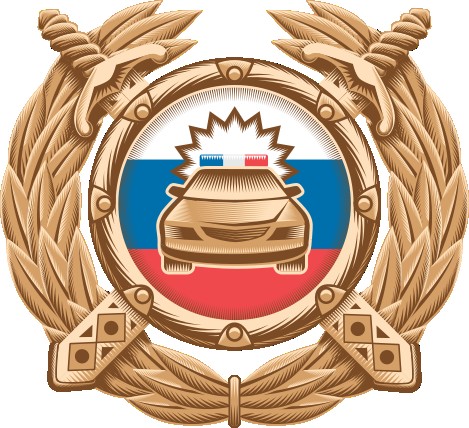 Госавтоинспекция информирует: в 2024 году увеличилось количество ДТП с детьми.